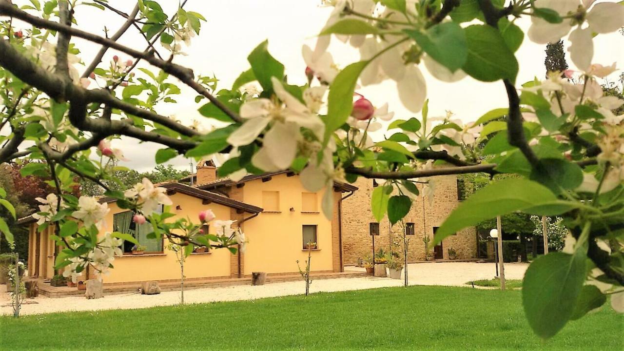 Hotel Agriturismo Il Podere Petrignano Exterior foto