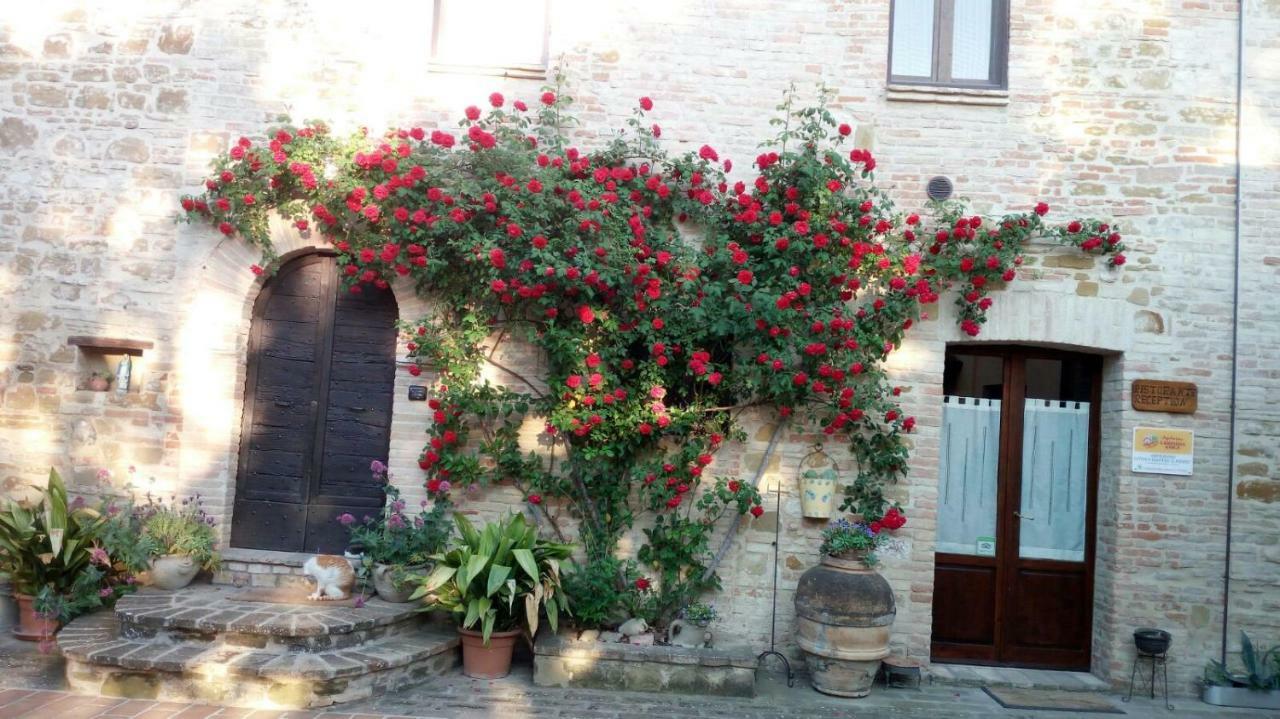 Hotel Agriturismo Il Podere Petrignano Exterior foto