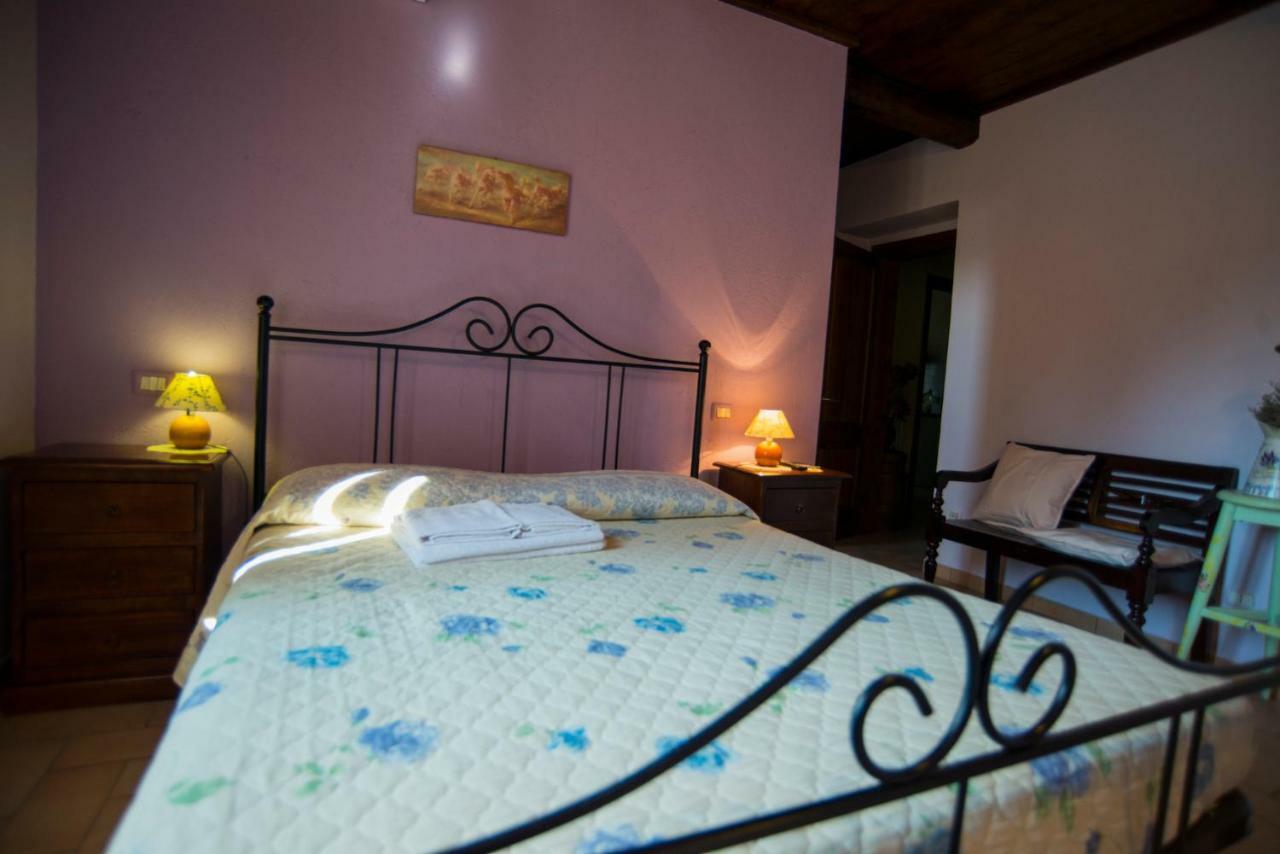 Hotel Agriturismo Il Podere Petrignano Exterior foto